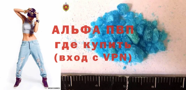 гидра Володарск