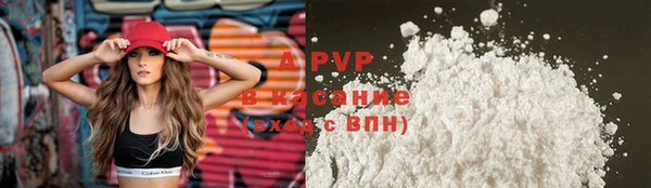гидра Володарск