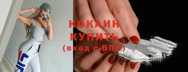 гидра Володарск