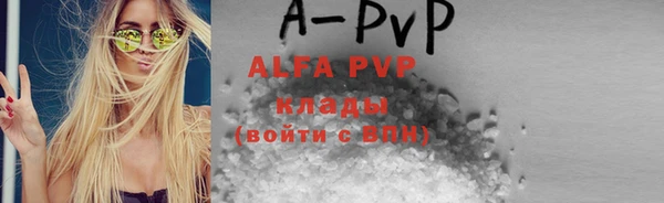 гидра Володарск
