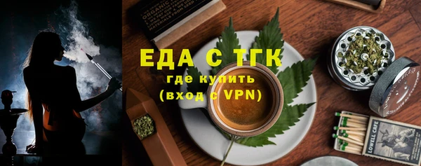 гидра Володарск