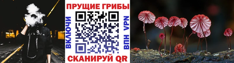 где можно купить наркотик блэк спрут ССЫЛКА Псилоцибиновые грибы мухоморы Верхний Уфалей
