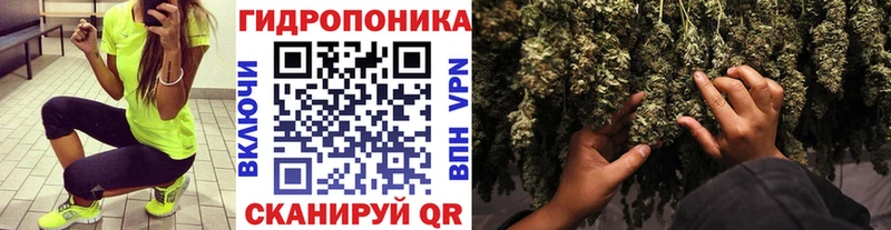 где найти   Верхний Уфалей  Марихуана марихуана 